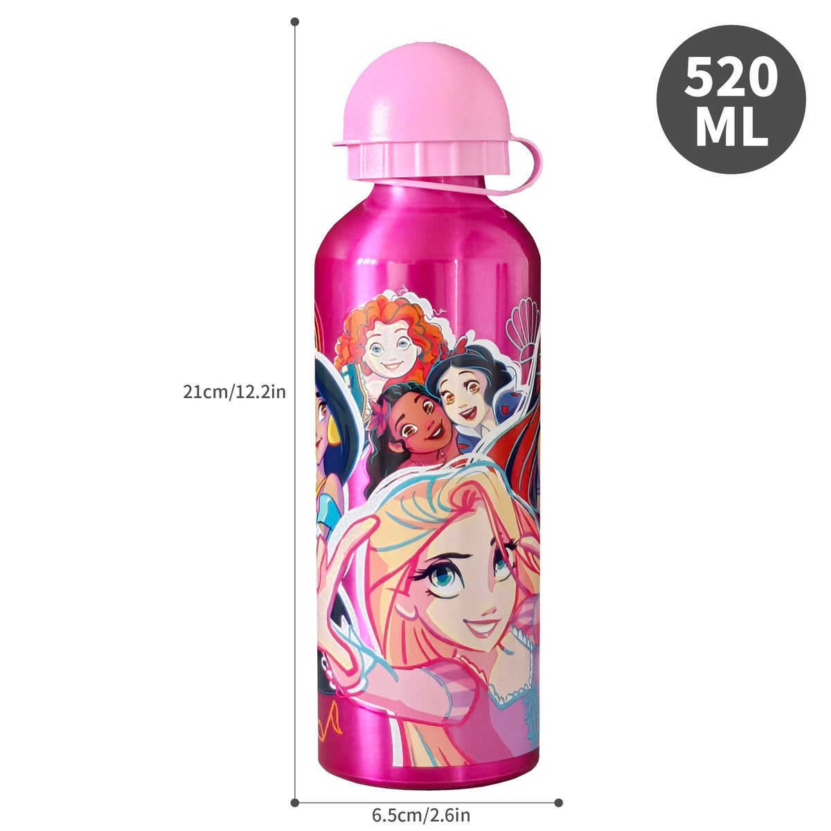 Disney Princess "Girl Power" Aluminium Bottle